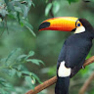 Meet your Posher, Limelightinc